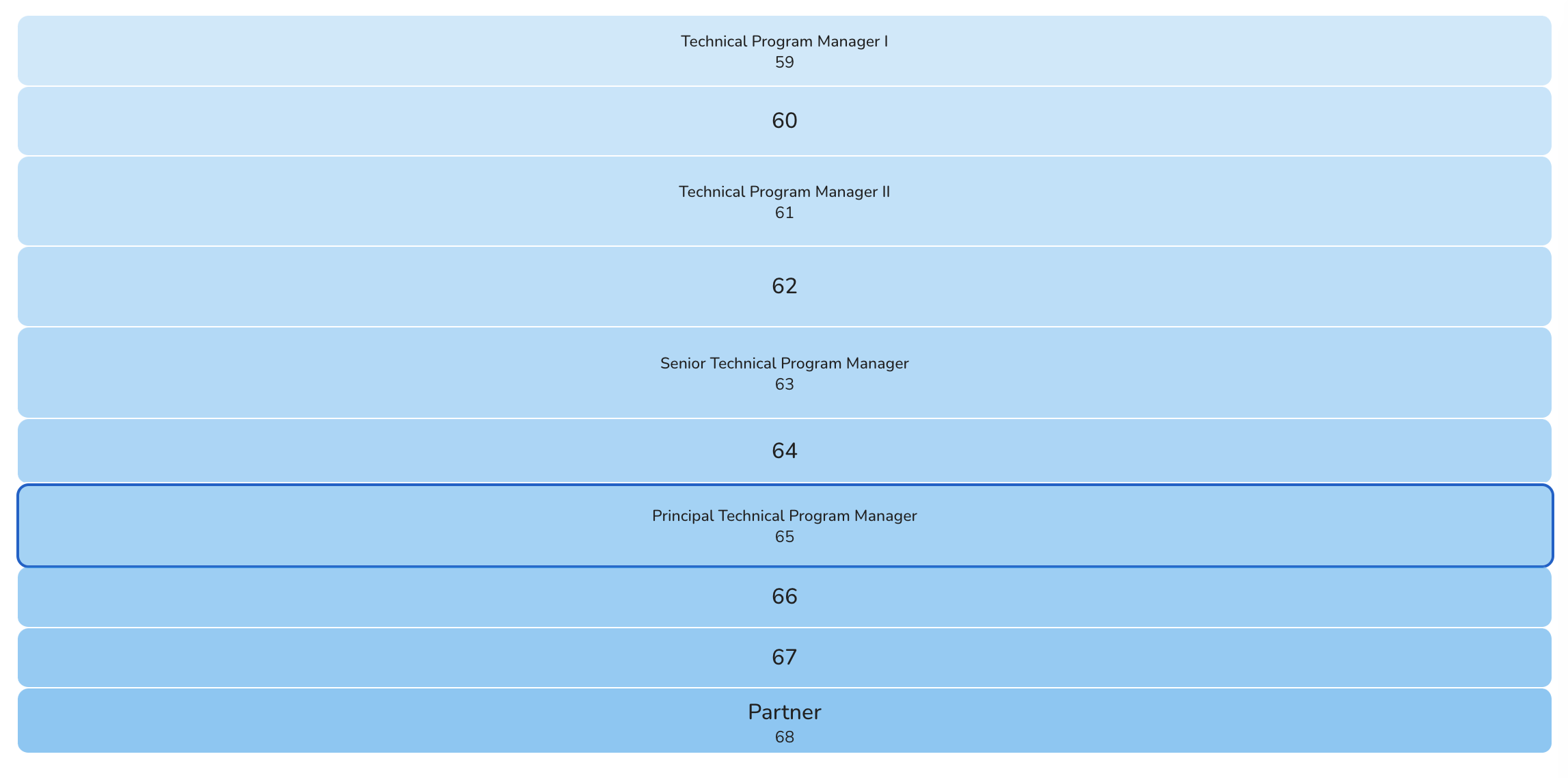 Technical Program Manager, Salary Levels